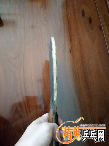 IMG20170917114458.jpg