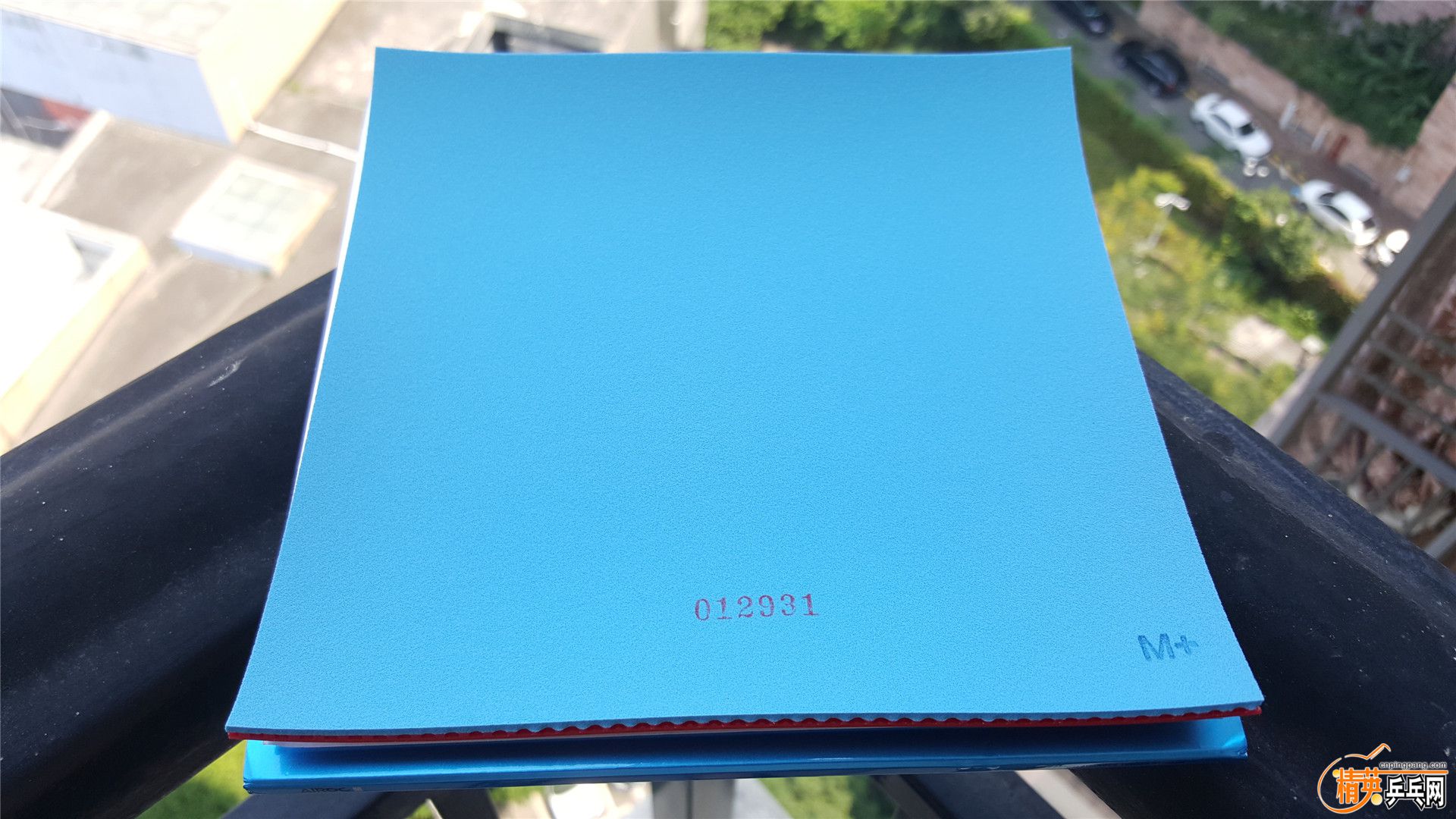 ������Ԫ (5).jpg