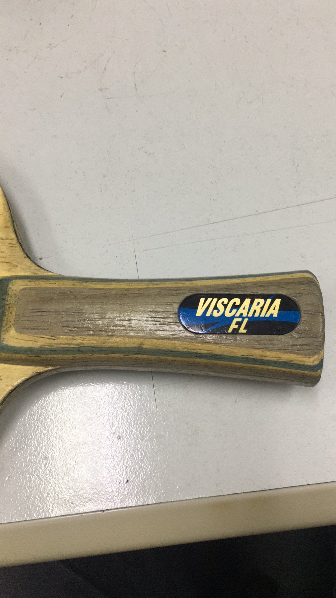 viscaria