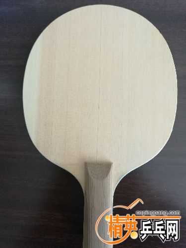 IMG_20170920_122547.jpg