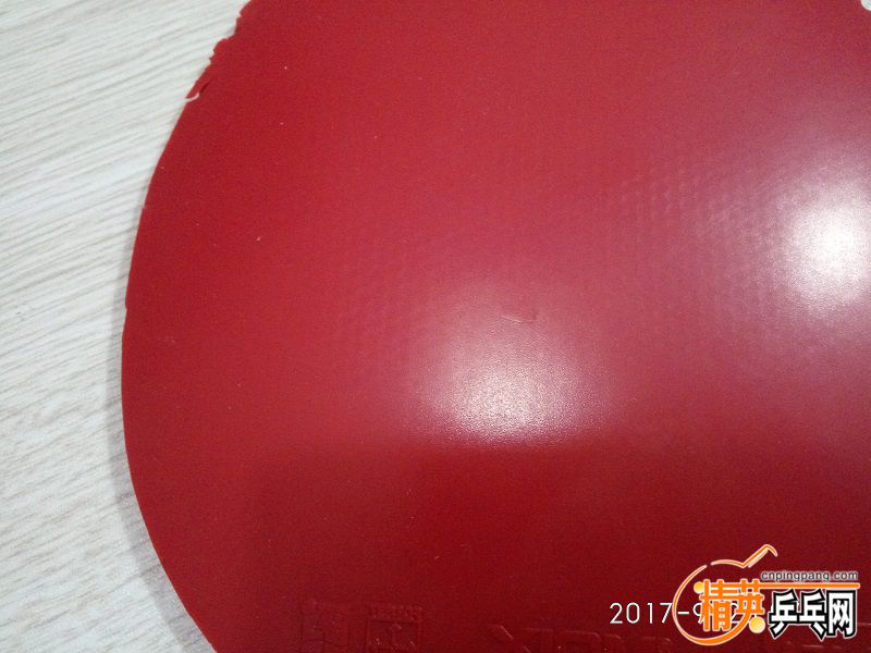 IMG_20170923_072042.jpg