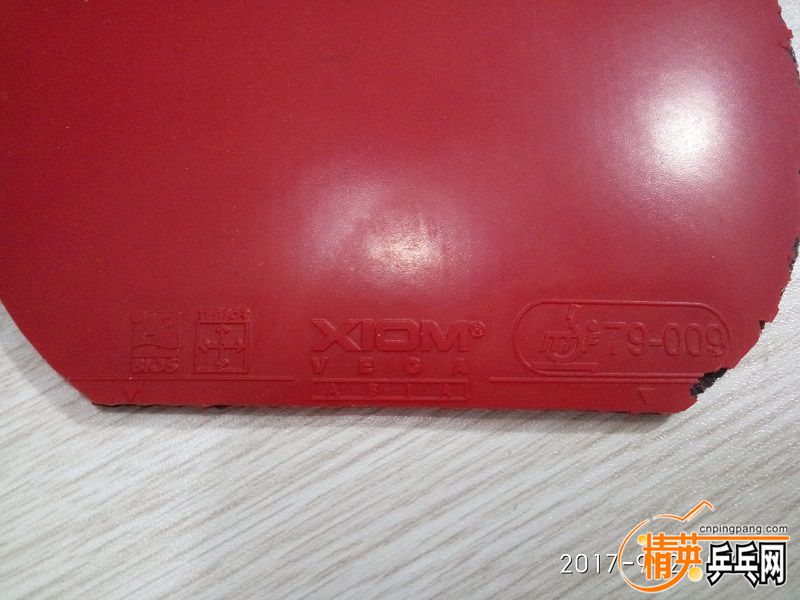 IMG_20170923_072047.jpg