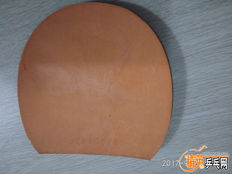IMG_20170923_072541.jpg