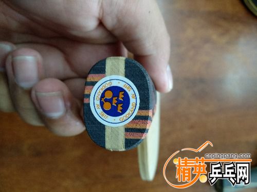 IMG_20170923_092504.jpg