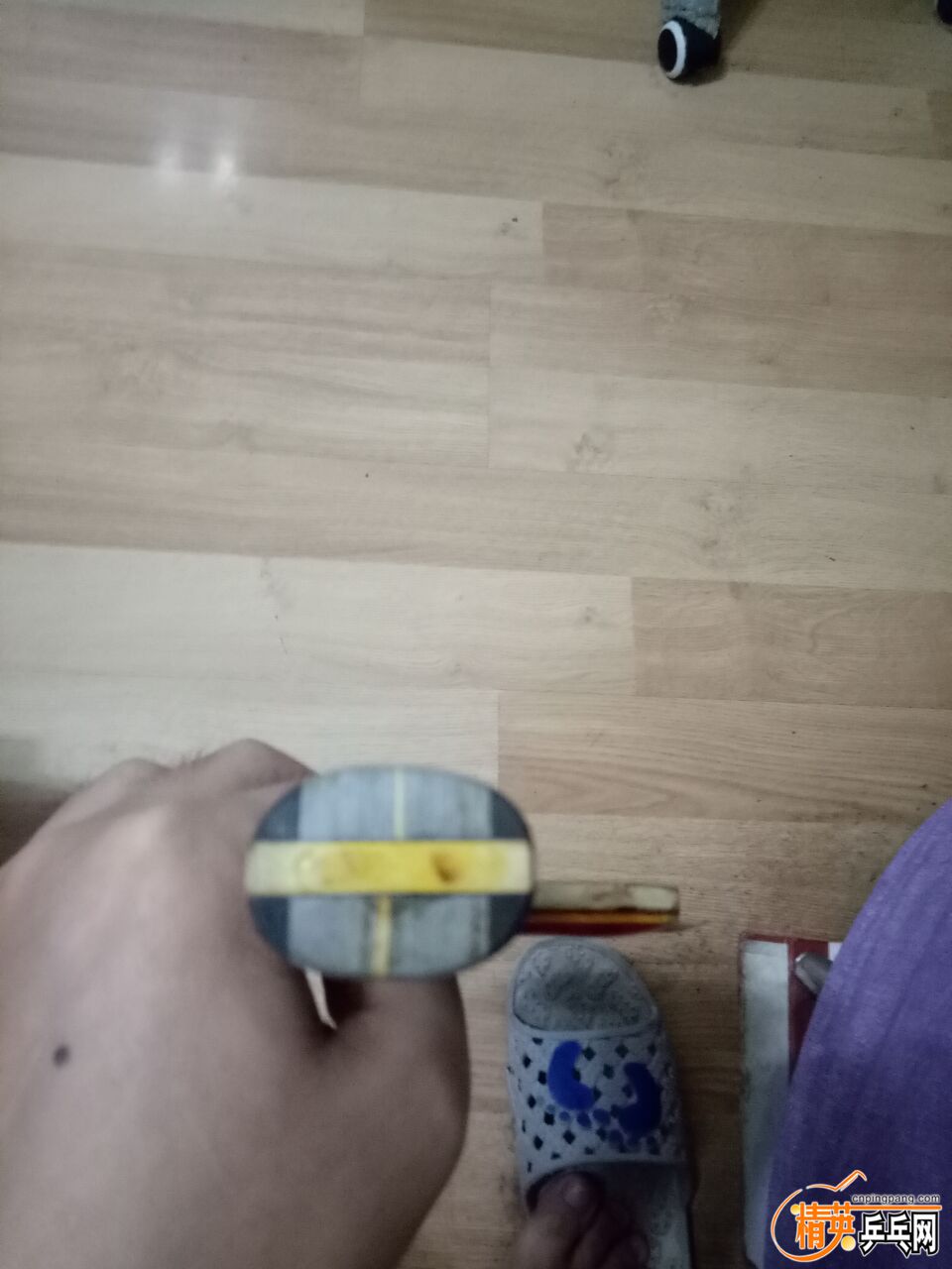 5.jpg