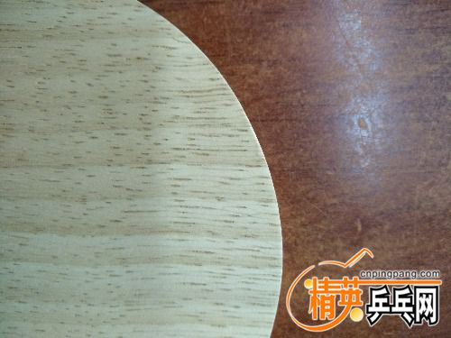 IMG_20170923_092841.jpg