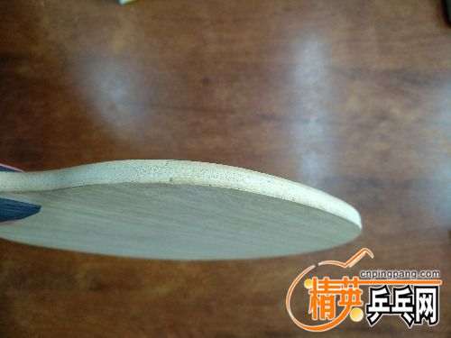 IMG_20170923_093103.jpg