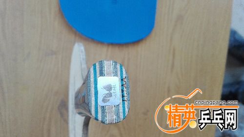 IMG_20170923_123333.jpg