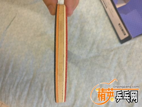4c5eaf5d1ed4f4d.jpg