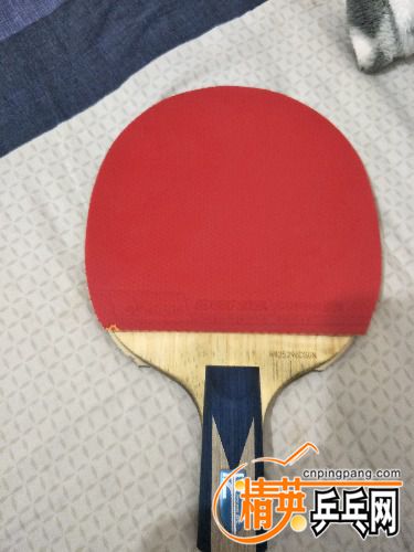 IMG20170924201736.jpg