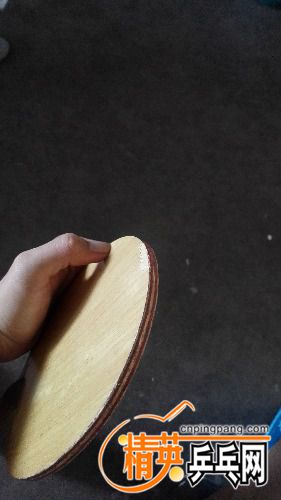 IMG_20170825_124558.jpg