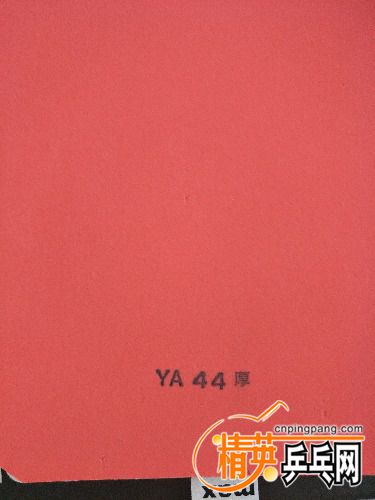 IMG20170926101932.jpg