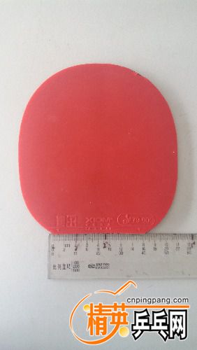 20170926_160841.jpg