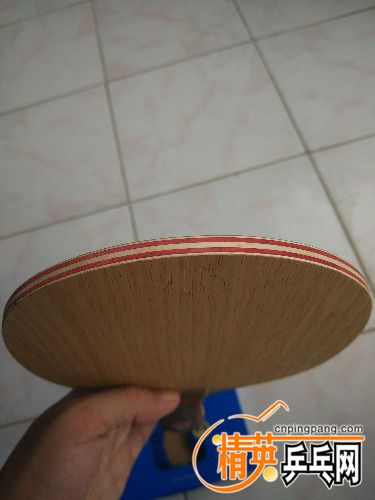IMG_20170912_114427.jpg