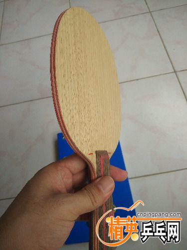 IMG_20170912_114402.jpg