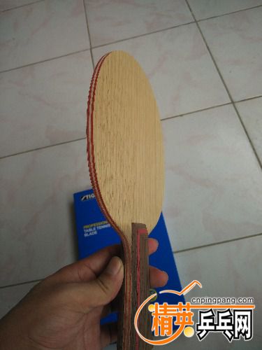 IMG_20170912_114347.jpg