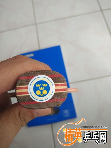 IMG_20170912_114331.jpg