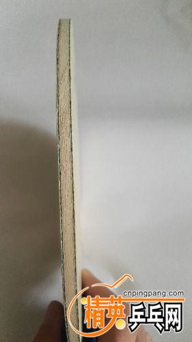 IMG_20171001_125755.jpg