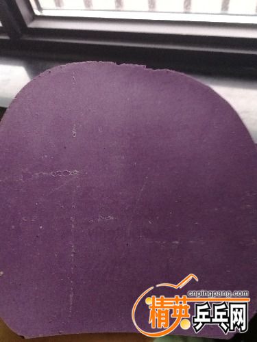 IMG_20171002_092514.jpg