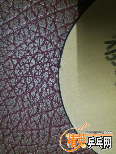 IMG_20171005_170945.jpg