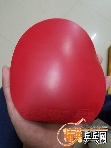 20171005_141743.jpg