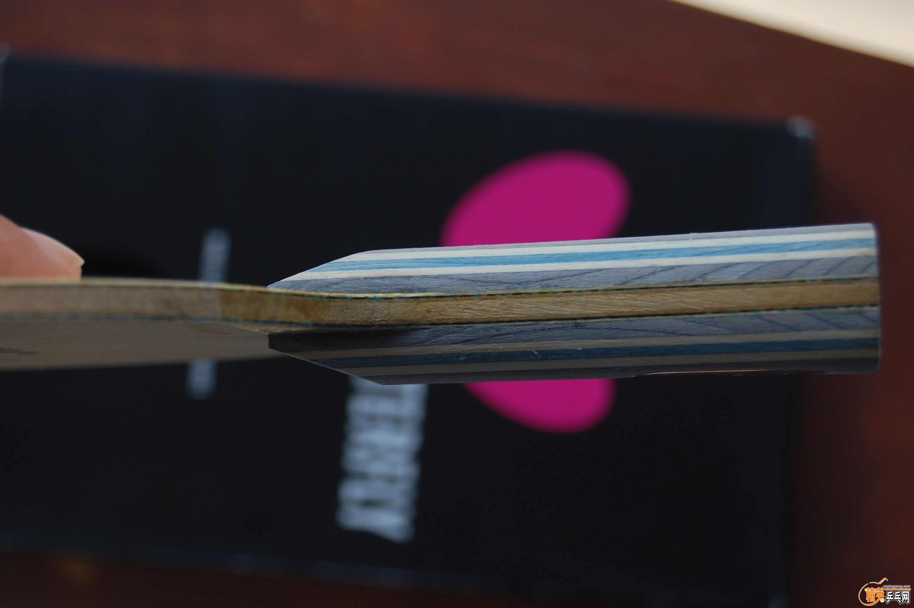DSC_4389.JPG
