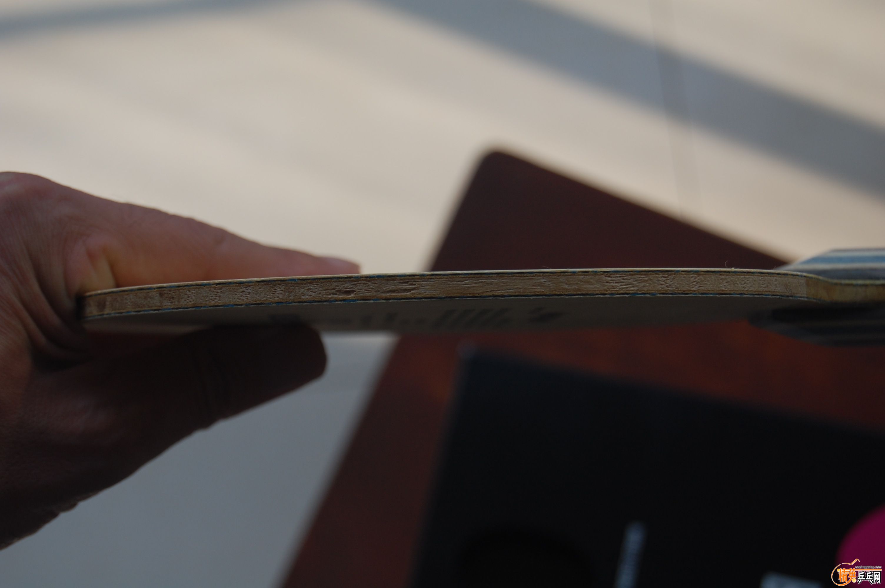 DSC_4391.JPG
