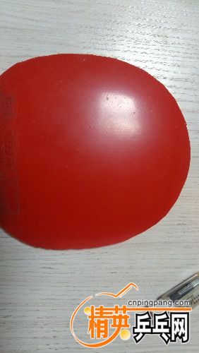 IMG_20171010_110955.jpg