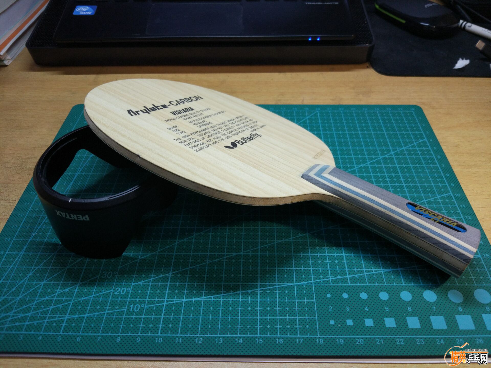 vis6.jpg