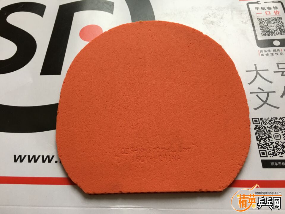 A9FD7F391F8BF637122A3963694300F9.jpg