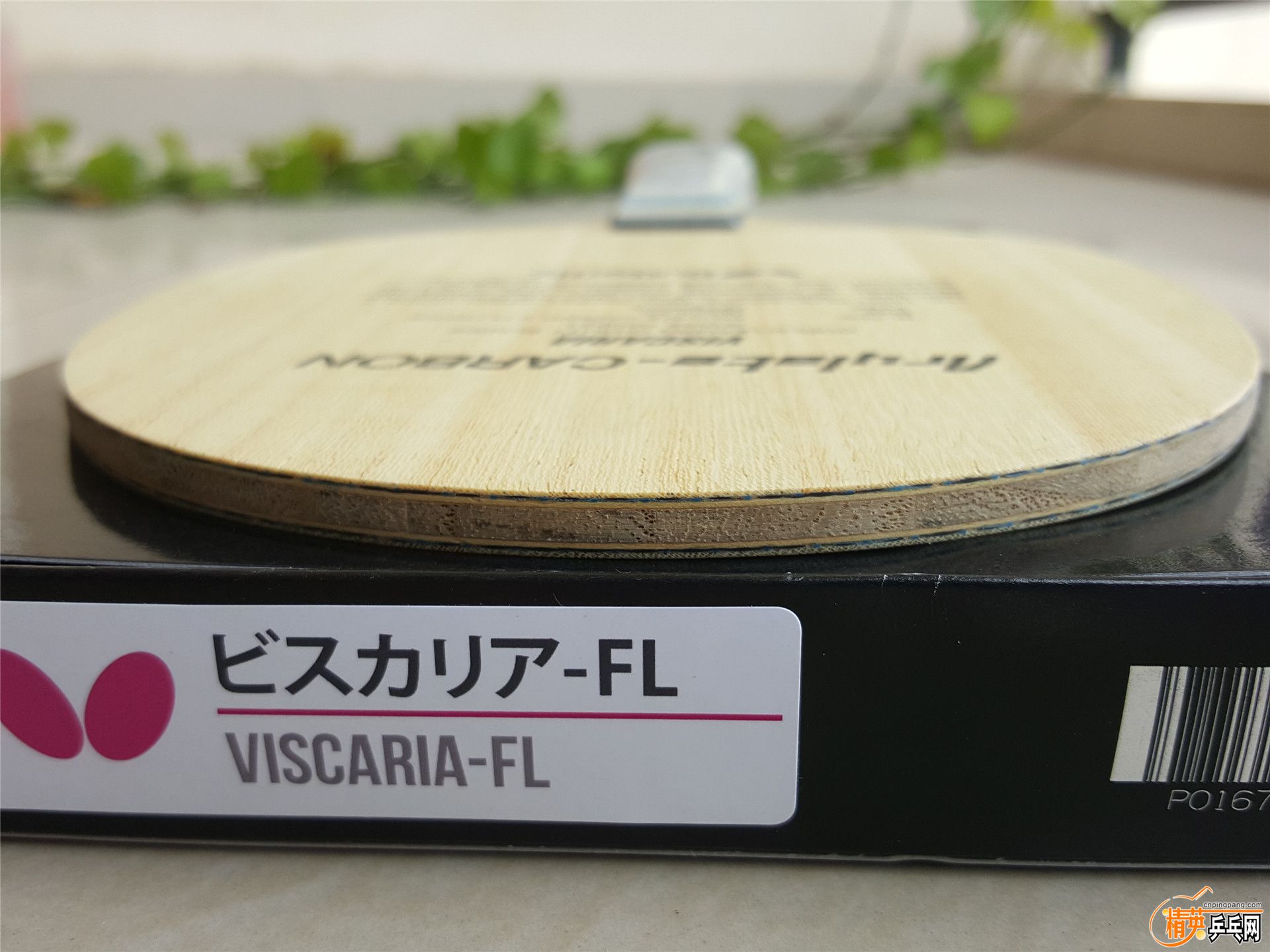 VIS-4.jpg