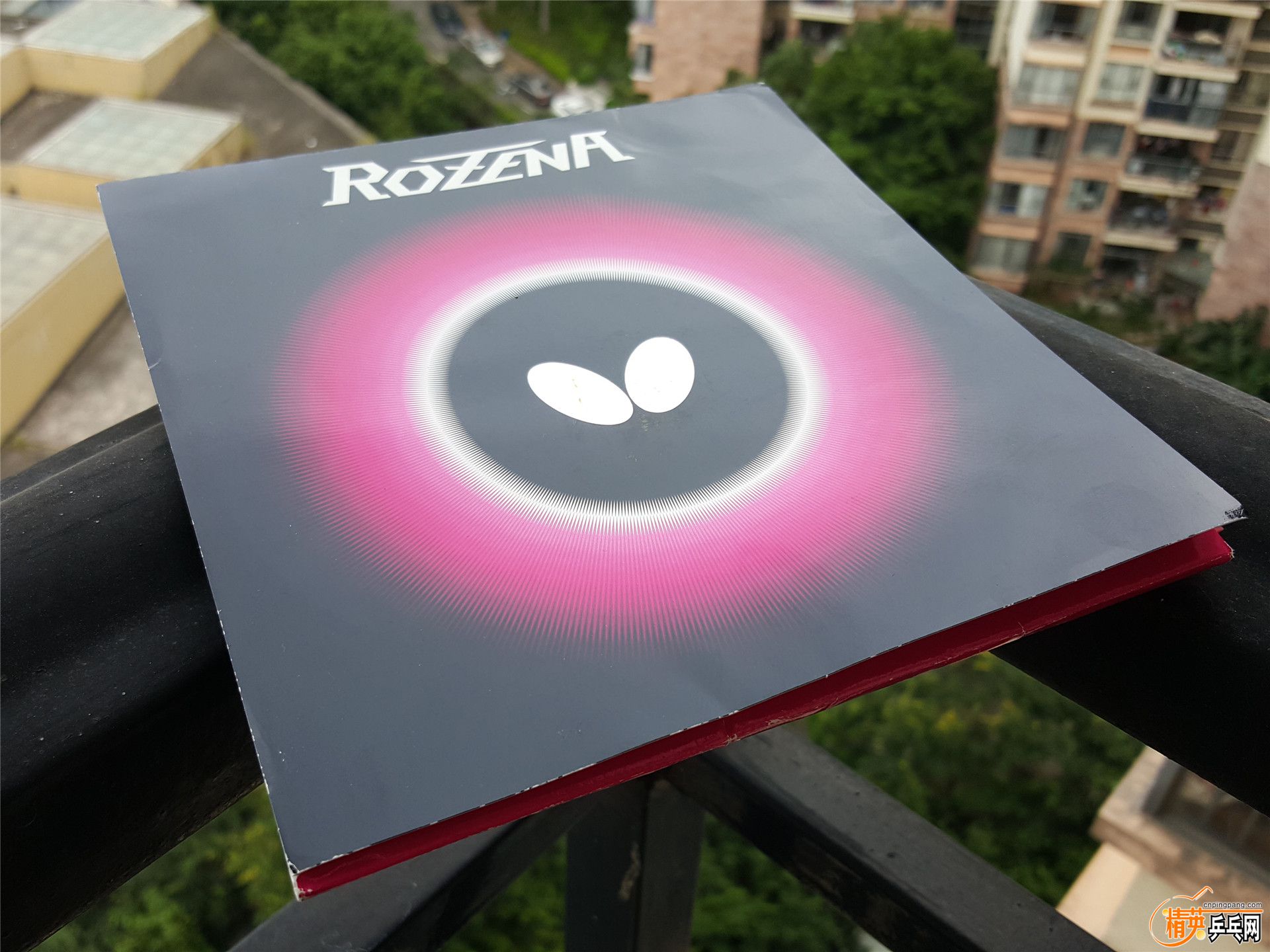 ROZENA (1).jpg
