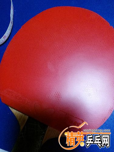 IMG_20171013_190644.jpg