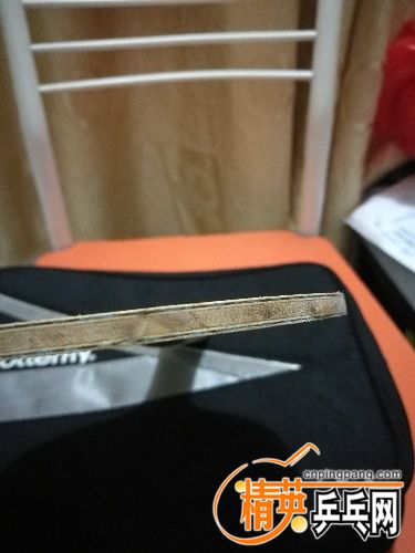 IMG_20171010_042157.jpg