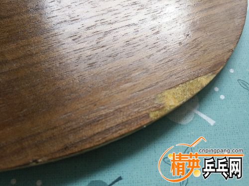 IMG_20170925_094225.jpg