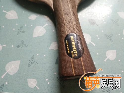 IMG_20170925_094145.jpg