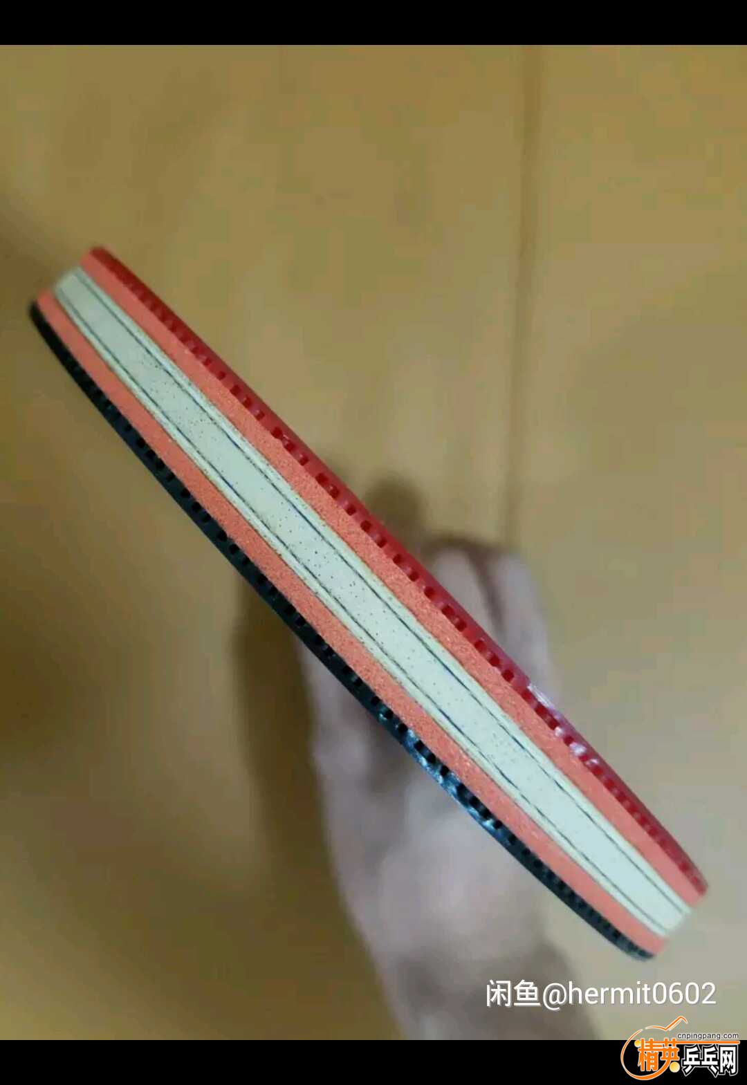 24060654268135563.jpg