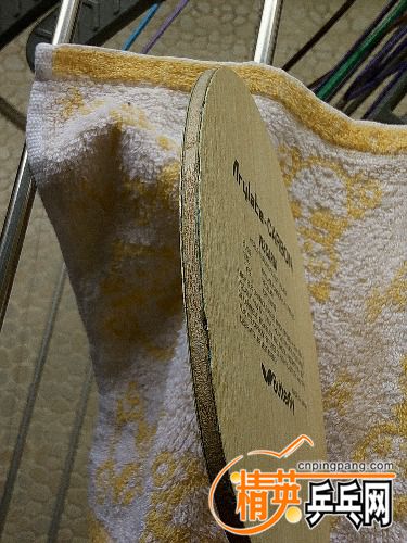IMG20171017133037.jpg