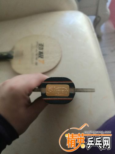 IMG_20171018_104736.jpg