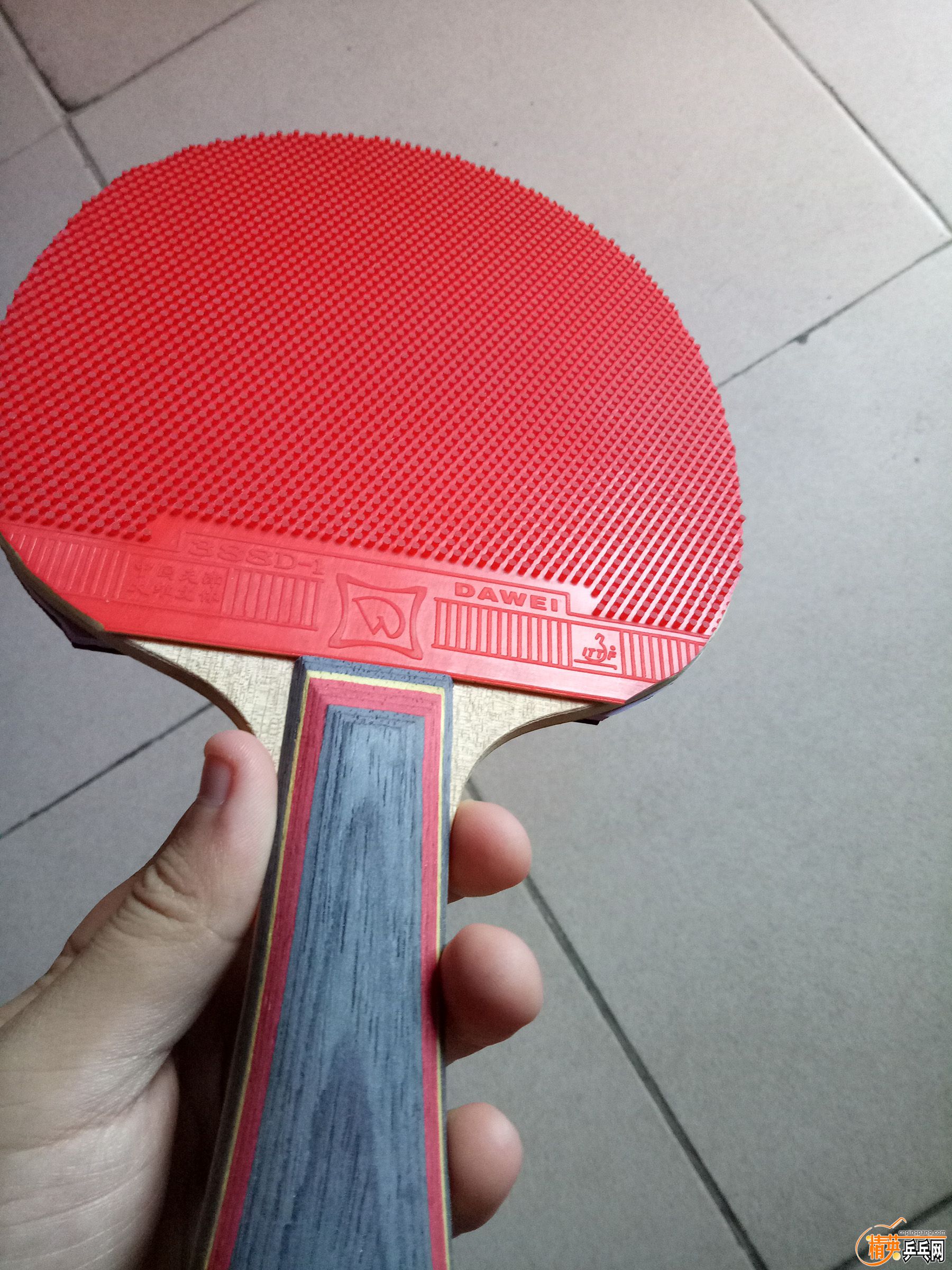IMG20171019091957.jpg