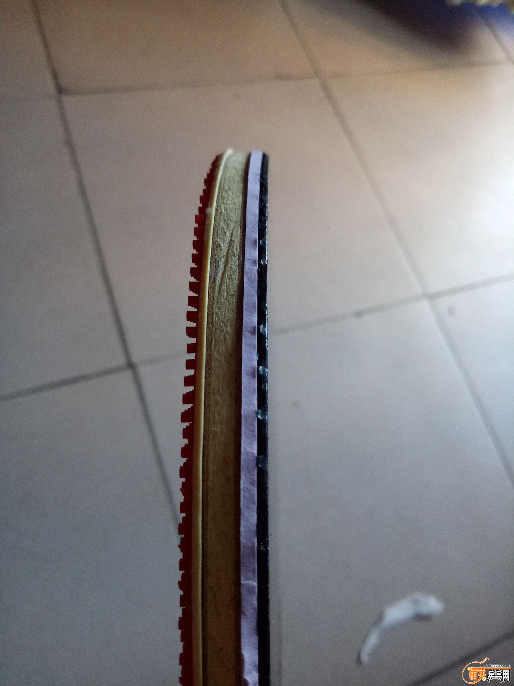 IMG20171019092108.jpg