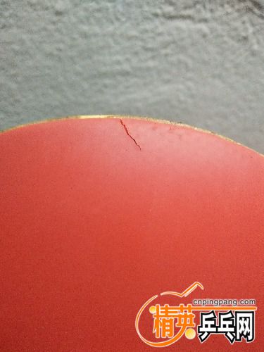 IMG20171019232748.jpg