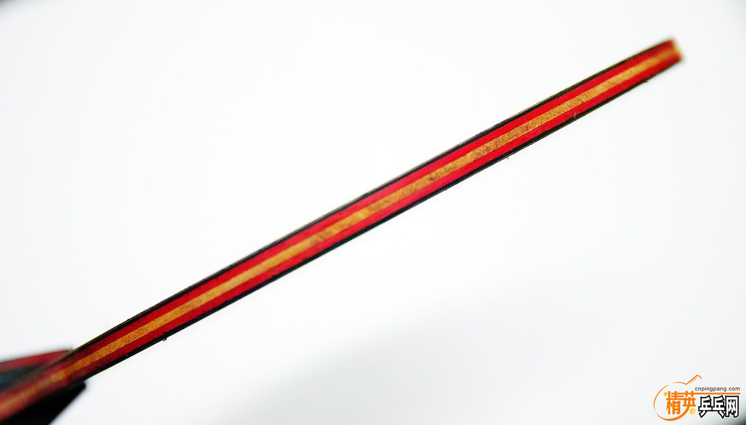 SDQ_3796.JPG