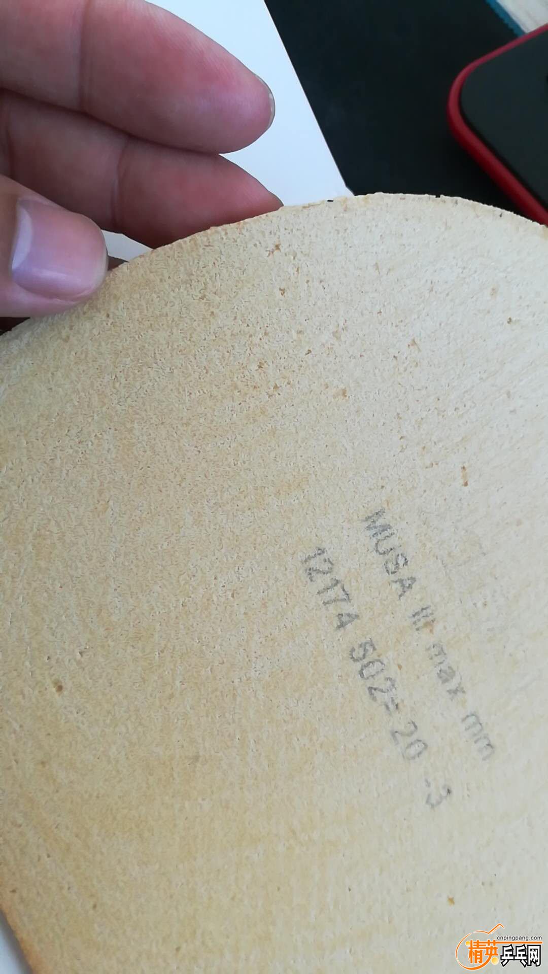 809608648.jpg