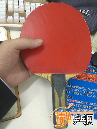 IMG_20171024_111737R.jpg