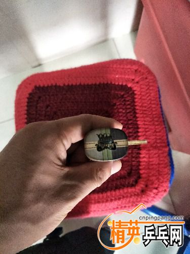 IMG20171025122048.jpg