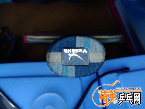 IMG_20170123_150147.jpg