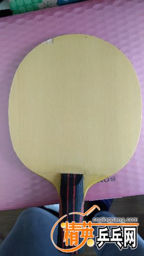 IMG_20171028_114008.jpg