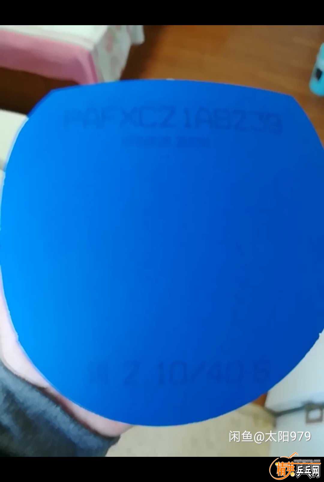 556849114781288179.jpg