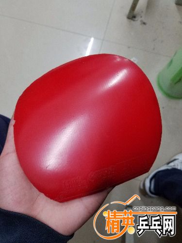 20171030_113208.jpg